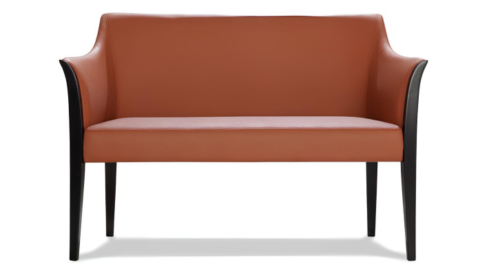 Sofa Couch Design Couch Polster Leder Modern Zweisitzer Sitzer Bank 2 Sitzer