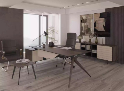 Moderner Aktentschrank Büromöbel Schränke Office Einrichtung Holzmöbel