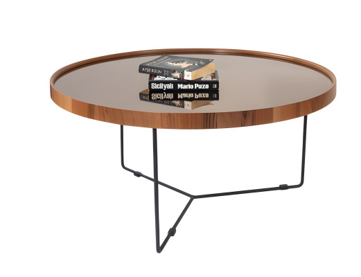 Wohnzimmertisch Couchtisch Sofatisch Beistelltisch Stilvoll Elegant