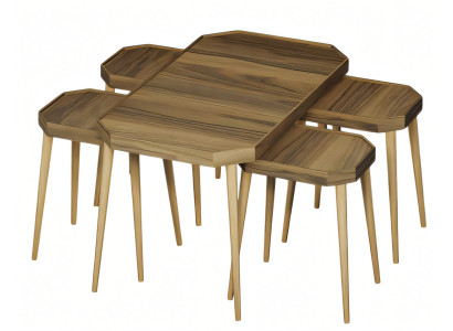 Moderner brauner Holz-Couchtisch mit Beistelltischen im Set