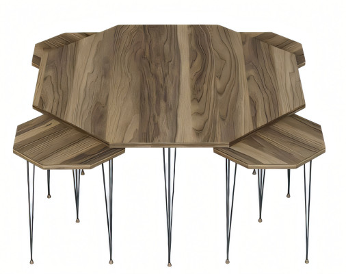 Eleganter Holz-Couchtisch mit Beistelltischen in Braun