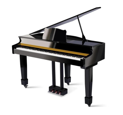 Schwarzer Flügel Klavier Digitalpiano Flügelklavier Hochglanz Piano