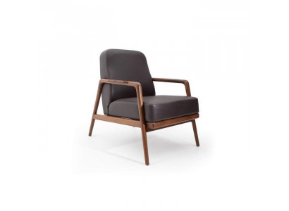 Design-Akkzent: Sessel in Trendfarbe mit schlichtem Holzrahmen neu