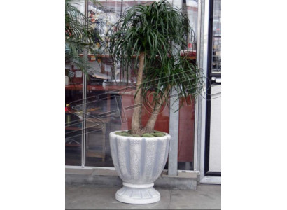Blumentöpfe Kasten Topf Blumen Dekorative Töpfe XXL Beton Garten Terrasse
