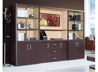 Büro Einrichtung Luxus Möbel - Aktenschrank Regal Kanzlei Praxis Schrank