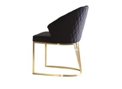 Esszimmerstühle Polsterstühle Küchenstühle Holzstühle Set 4tlg Schwarz