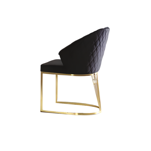 Polsterstuhl Esszimmerstuhl Holzstuhl Küchenstuhl Schwarz Modern Gold