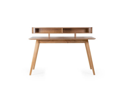 Schreibtisch Holz Möbel Computertisch Tisch Luxus Design Einrichtung Neu