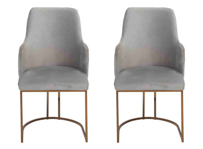 Modern Esszimmerstuhl Küchenstühle Luxus Design 2x Stühle Lehnstühle Grau Neu