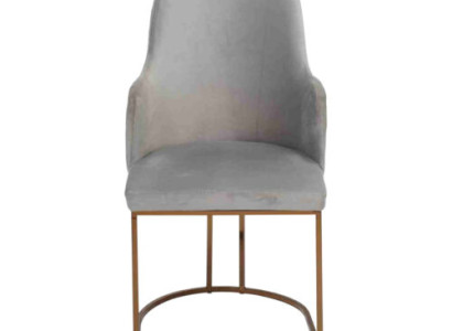 Modern Esszimmerstuhl Küchenstühle Luxus Design Stuhl Lehnstühle Grau Neu