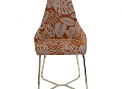 Stilvoller Esszimmerstuhl Exklusive Küchenstühle Designer Lehnstühle