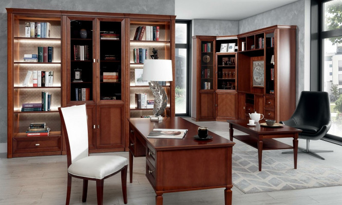 Büro Akten Regal Schrank Vitrine Holz Regale Schränke Office Büro Universal Neu