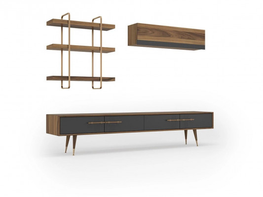 Modern Set TV-Ständer Design Wohnwand Wohnzimmer Wandregal Luxus Wandschrank