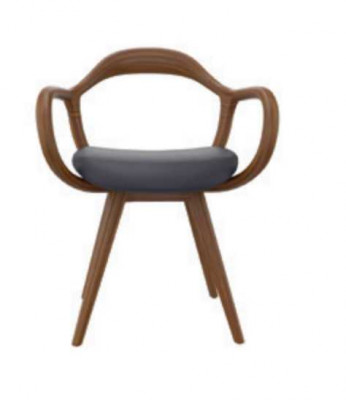 Stühle Wohnzimmer Esszimmer Lehnstuhl Holzstuhl mit Armlehne Esszimmer Möbel