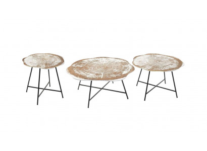 Couchtische Tisch Kaffeetisch Tische Designer Beistelltische Holz 