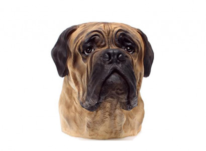 Deko Figur Statue Skulptur 35 cm FIguren Statuen Skulpturen Bull Dog Büste A182