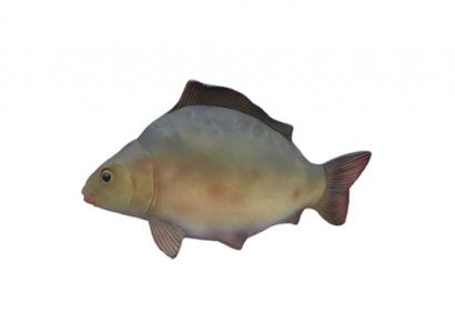 Dekorativer moderner schöner Skulpturenfisch, Figurenhöhe 60 cm.