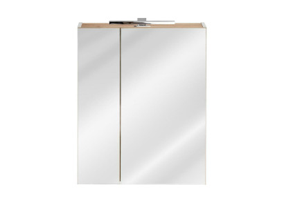 Spiegelschrank Badezimmerschrank Badspiegel 60x16x75 cm Schränke
