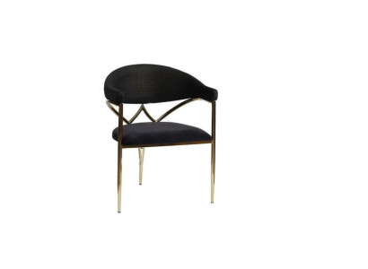 Schwarzer Edelstahlstuhl Holzrahmen Esszimmer Stühle Moderne Einsitzer