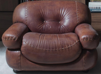 Vintage Leder Sessel Wohnzimmer Echtleder Polster Fernseh Italienische Möbel Neu