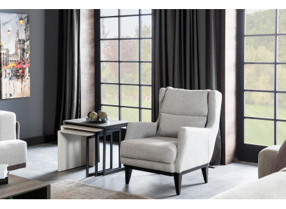 Wohnzimmer Sessel Sitzer Design Couch Polster Luxus grau Stil Modern