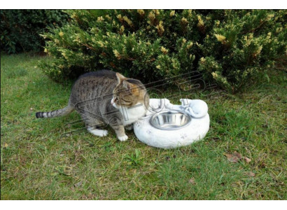 Wasser Trinkbrunnen Katzen Tränke Behälter Kunde Trink Gefäss