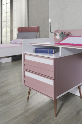 Schreibtisch Holz Rosa Tisch Schreibtische Regal Möbel Jugendzimmer Design