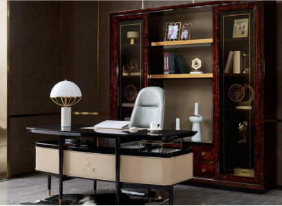 Design Schrank Bücherschrank Vitrine Aktenregal Office Einrichtung Regal