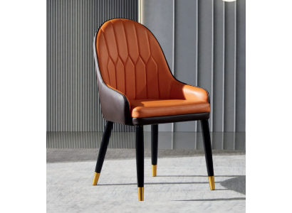 Braun-Orange Esszimmerstühle Designer Holzstühle Moderner Lehnstuhl