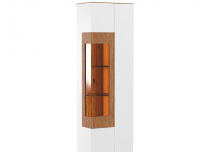 Vitrine Glas Schrank Wohnzimmer Schaufenster 1 trg. Vitrinen Hochschrank Modern