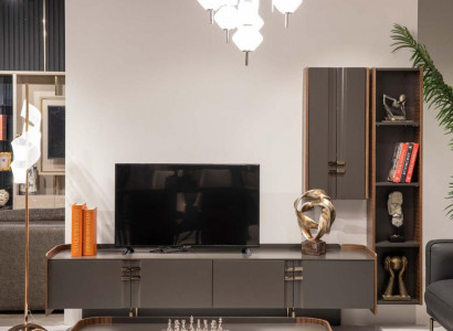 Wohnwänd tv Wand Holz Modern Regal Wohnzimmer Möbel Schrank rtv Mit Wandschrank
