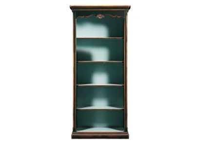 Regal Schrank Bücherschrank für Büro Bücherregal Braun Hochschrank Echtholz Neu