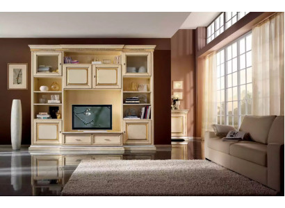 Klassische Wohn Wand Wohnzimmer Sideboard RTV Regal Wände Schrank Neu