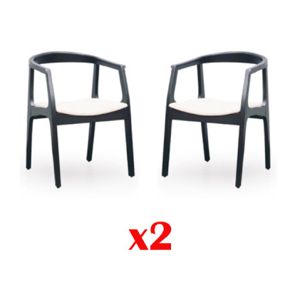 Set 2x Stoff Massivholz Stuhl Gruppe Design Stühle Ess Wohn Zimmer