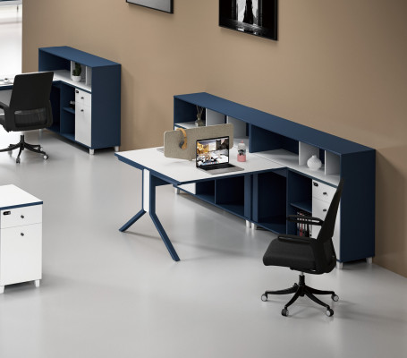 Schreibtisch Regal Doppelter Arbeitsplatz Büro Einrichtung Möbel