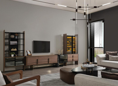 Wohnzimmer Wohnwand TV-Ständer Vitrine Bücherregal Holz Möbel Modern