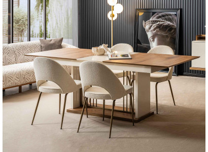 Beiges Esszimmer Set Rechteckiger Holztisch Designer 4x Polsterstühle