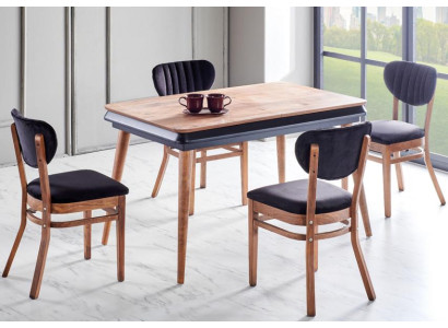 Esszimmer-Set 5tlg. Esstisch 4x Stühle Modern Design Schwarz Luxus Set