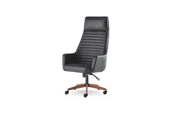 Arbeitszimmer-Set Bürotisch Bürostuhl Sideboard Beistelltisch Schwarz