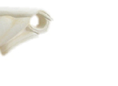 Design Vase Decovase Figur Statue Skulptur Figuren Skulpturen Dekoration 0837