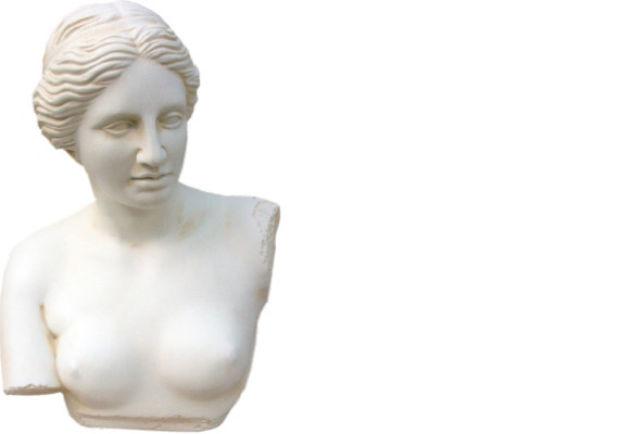 Design Venus Büste Figur  Statue Skulptur Skulpturen Figuren Dekoration 2055 Neu