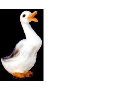 Design Ente Figur Statue Skulptur Figuren Skulpturen Dekoration Deko 3350 Neu