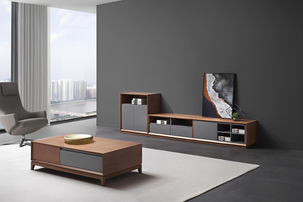 Design Wohnwand RTV Side Low Schrank Board Wohnzimmer Regal Garnitur Tisch Neu