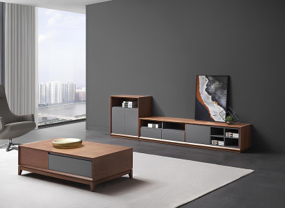 Design Wohnwand RTV Side Low Schrank Board Wohnzimmer Regal Garnitur Tisch Neu