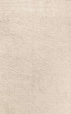 Teppich Kurzflor Wohnzimmer Schlafzimmer Flur Beige Unifarben Einfarbig