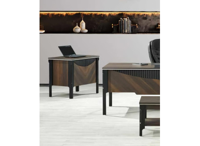 Büroassistentin Büroorganisatorin Büroschrank Schrank Holz Büro Kommode
