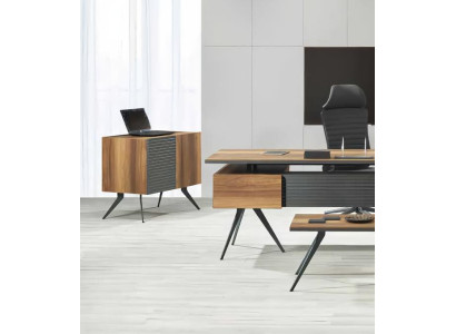 Büroassistentin Büroschrank Büroorganisatorin Kommode Schrank Büromöbel