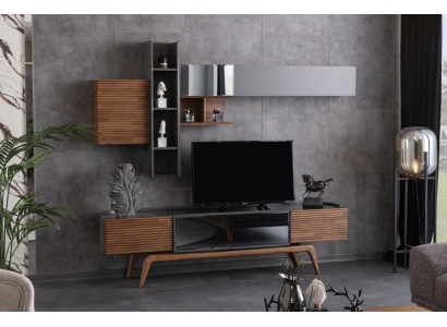 Wohnwand  Schrankwand Anbauwand Sideboard Wandschrank Wohnzimmer TV Holz