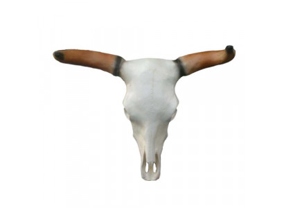 Bullenschädel Stierkopf Wand Skulpturen Höhe 64 cm Deko Figur Wand Dekoration