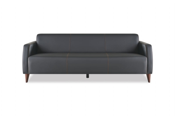 Sofagarnituren Schwarz 3-Sitzer 2-Sitzer Sessel Einfarbig Leder Set Sofas